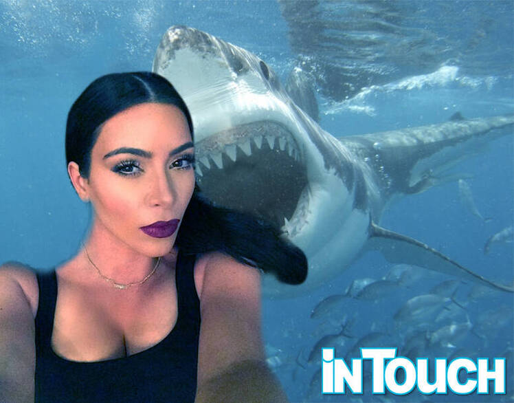 Kim k shark