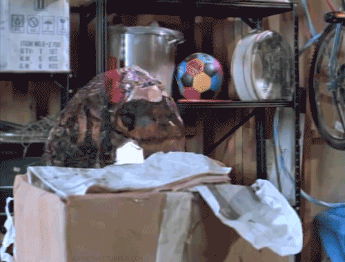 alex mack watn