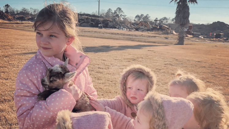 Outdaughtered animal adoption