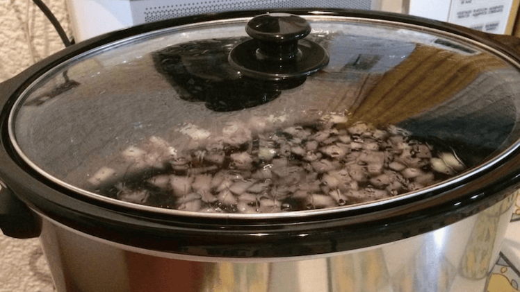 Jill duggar black beans