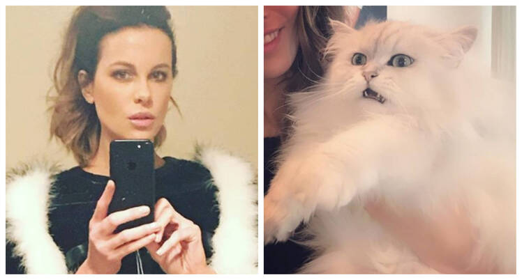 A split image of Kate Beckinsale and her cat