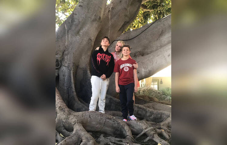 Britney Spears Sons Look So Big Posing On A Tree