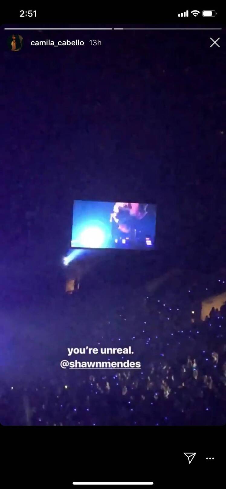 camila cabello gushes over shawn mendes at his concert