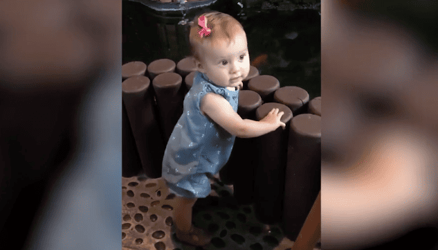 felicity vuolo dancing by water