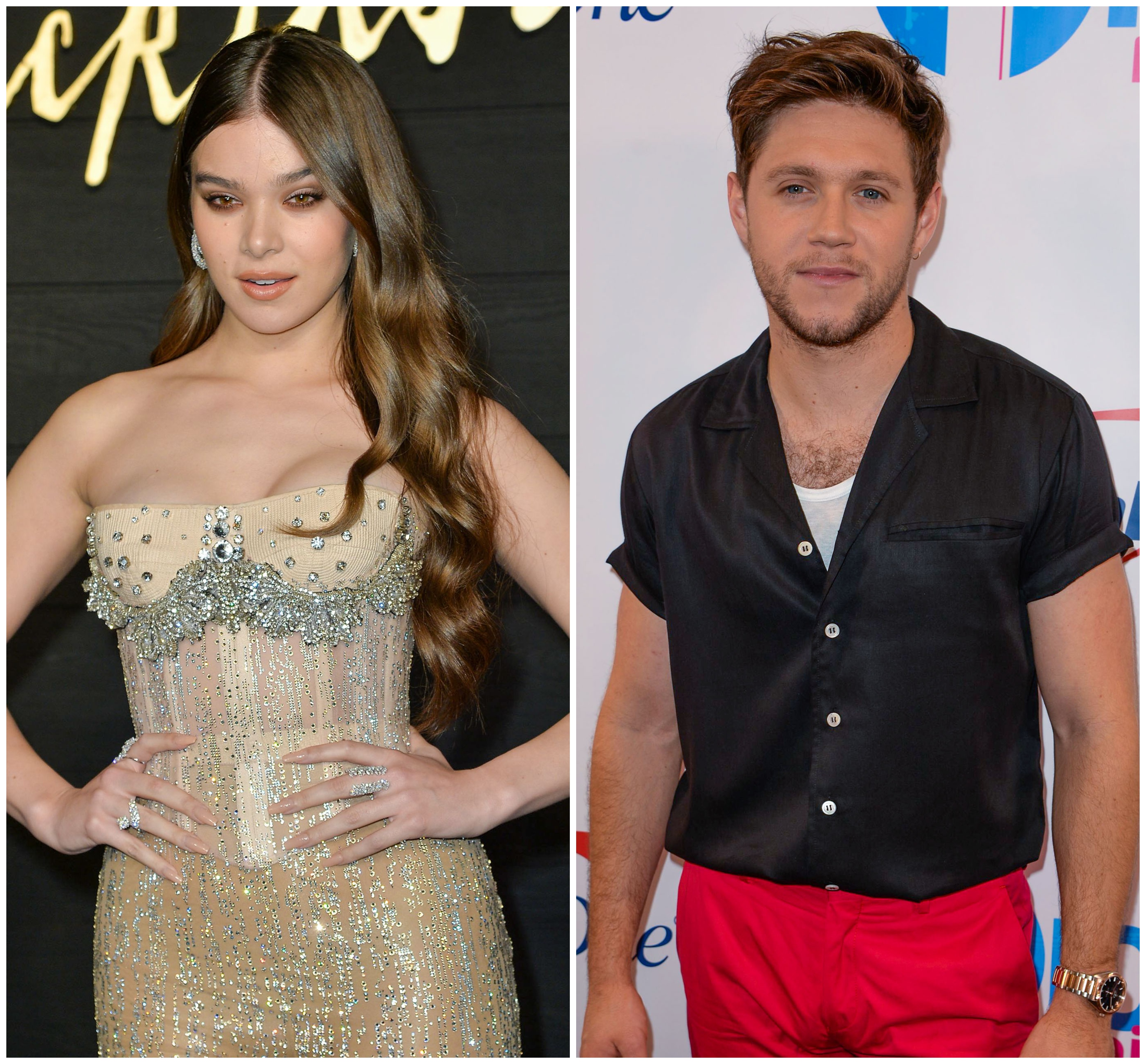 are hailee steinfeld and niall horan still friends