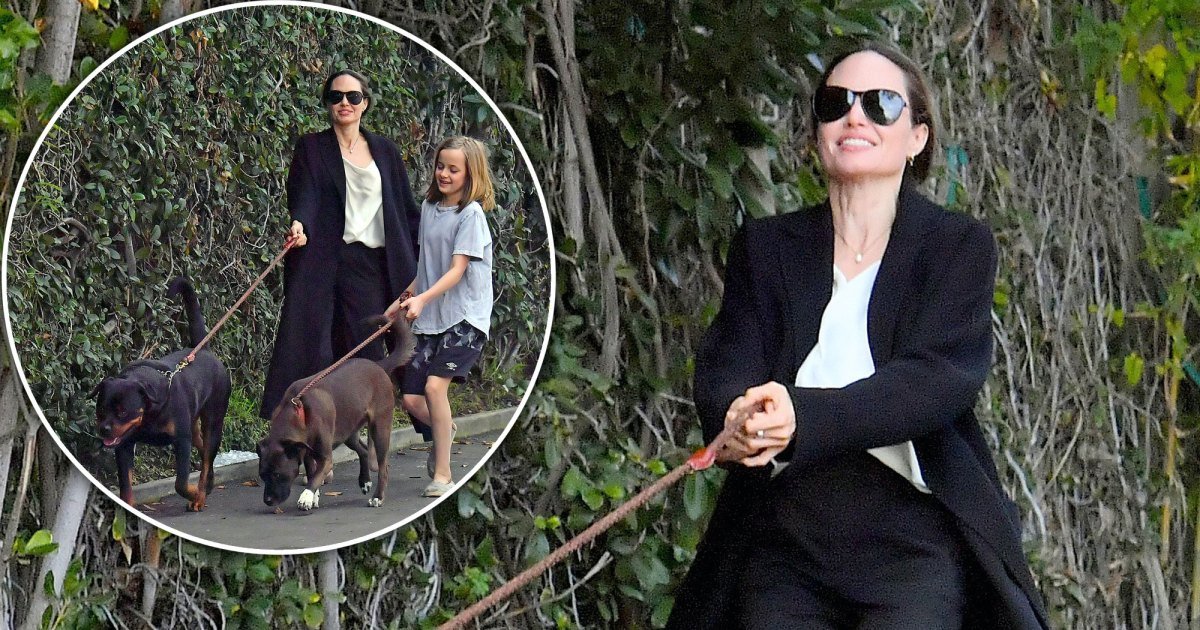 Angelina Jolie Models Casual-Chic Style on Shopping Trip With Son