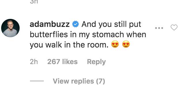 adam busby butterflies comment