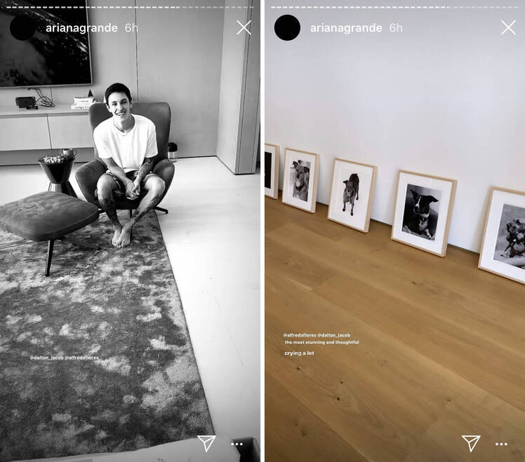 Side-by-Side Photos of Ariana Grande's Boyfriend Dalton Gomez and His Birthday Present For Her