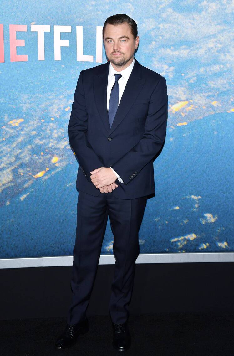 Partygoer at Leonardo DiCaprio's Table Buys Stay at Zenyara Estate Auctioned Off by Philanthropist