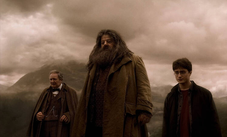 Robbie Coltrane Hagrid