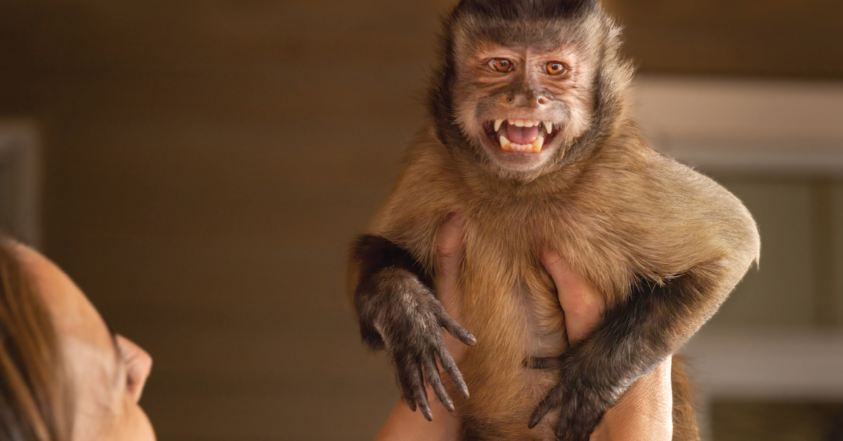Meet 'America's Favorite Pet': Animal Kingdom Winner Gaitlyn Rae | In Touch  Weekly