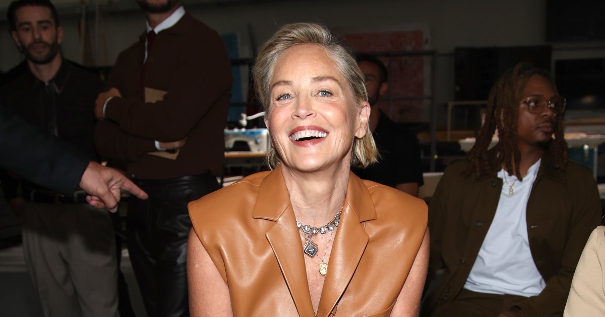 Sharon Stone Admits That ‘It’s Very Expensive to Be Famous’! Her Comments About Money