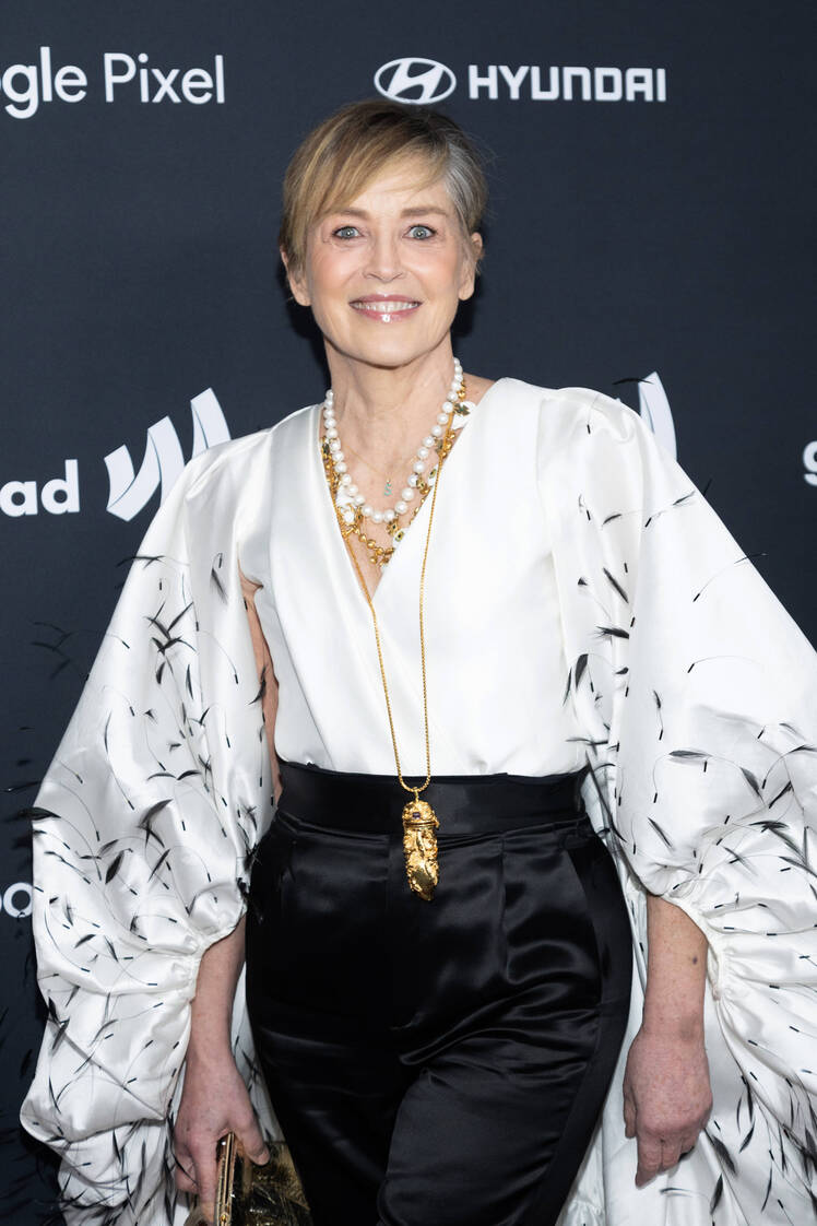 Sharon Stone Looking for Mr. Right After Years of Putting ‘Off Finding Love’