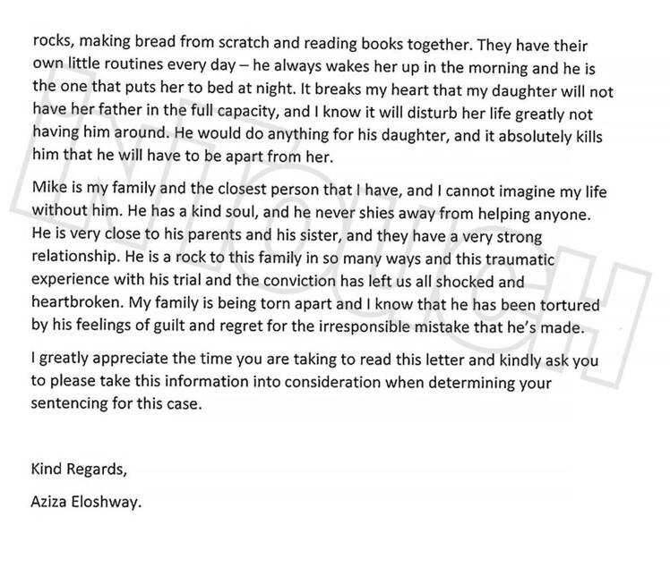 90 Day Fiance Star MIchael Elsohway Wife Writes Letter to Judge in Criminal Case 2