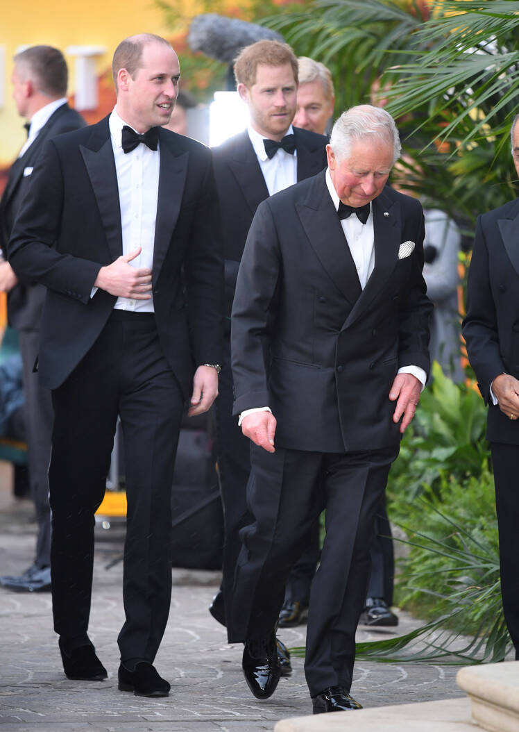 Queen Camilla Discouraged King Charles to See Estranged Son Prince Harry 0